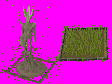 A Arkenor farming patch, plant and seed supplies